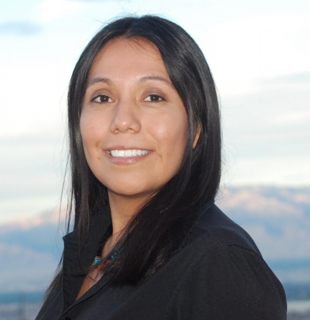 New Mexico Political Journal